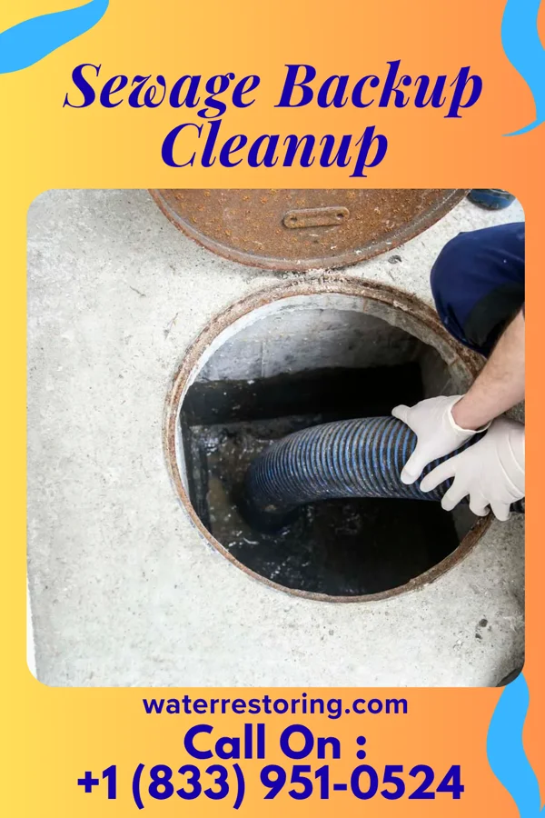 Sewage Backup Cleanup in Pembroke, NC